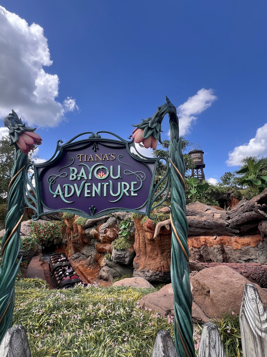 Virtual Queue Update for Walt Disney World